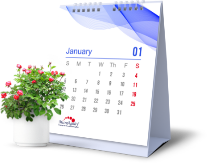 MicroAgility Calendar